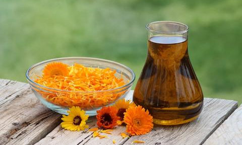 What Is Calendula Extract—Is it Good or Bad for Your Skin?