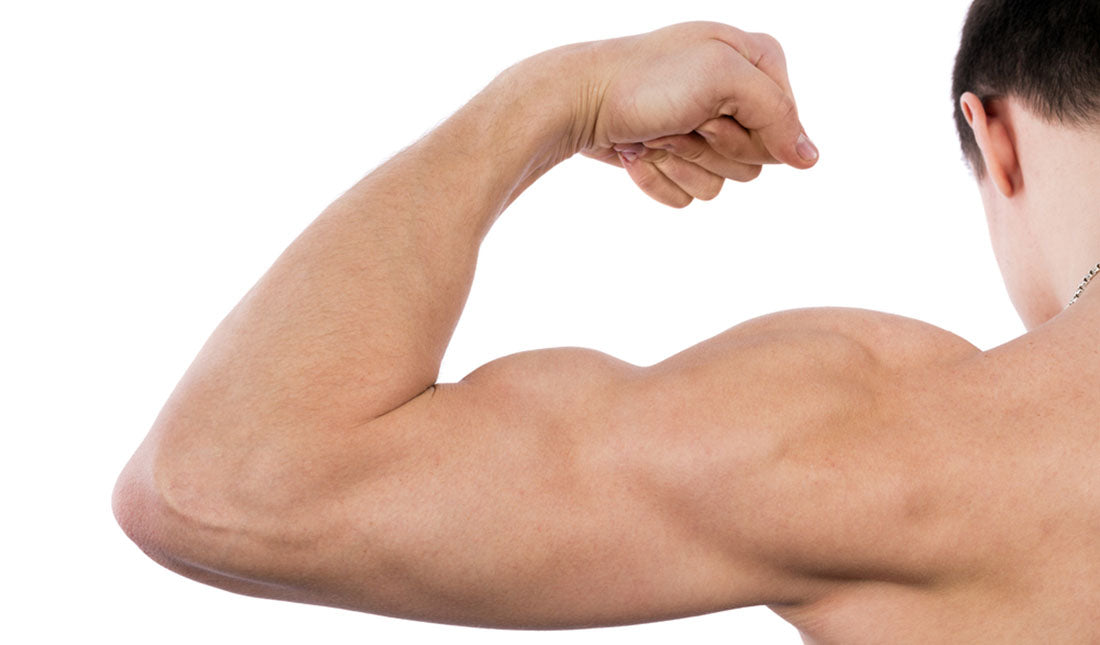 isolated bicep muscle flexing