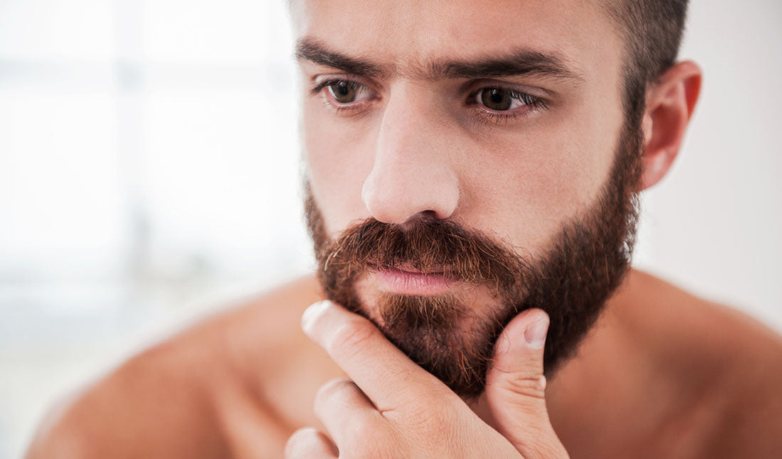 portrait of man with beard